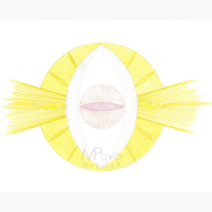 28- Yantra del SEXTO CHAKRA