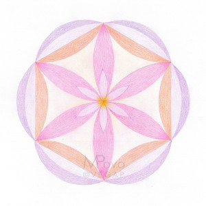 30- Yantra del CUARTO CHAKRA