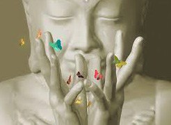 buda-mariposas