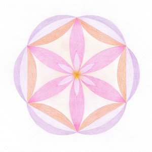 chakra 4 ok peque