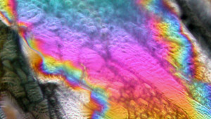 color GEOCROM
