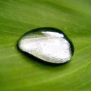 gota de AGUA