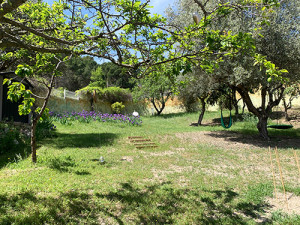 maig22-02
