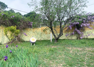 maig22-04