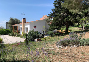 paisatge casa