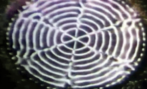 sonido y geometria